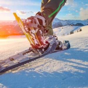 Снегоступы