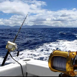 Морские удилища